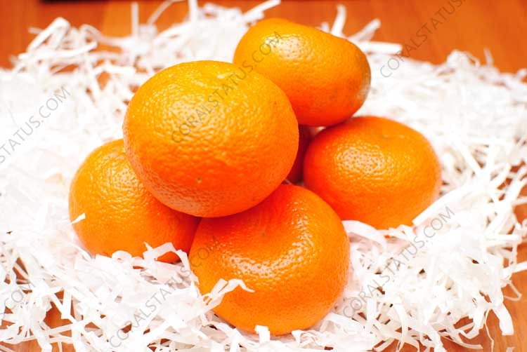 Mandarin benefits or harm, vitamins and caloric value