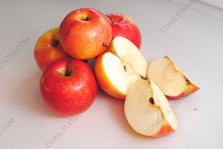 How useful apples are, how to choose a tasty and healthy apple